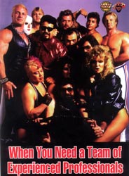 When you need a team of experienced Professionals